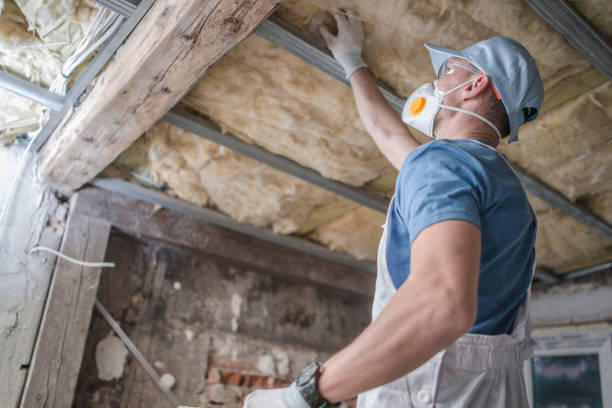 Best Commercial Insulation in Pea Ridge, AR