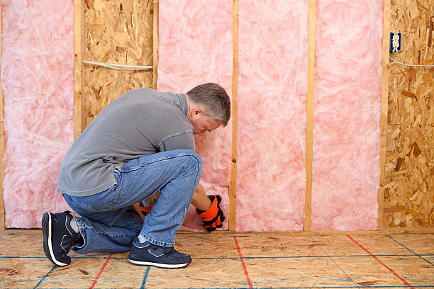 Best Residential Insulation in Pea Ridge, AR